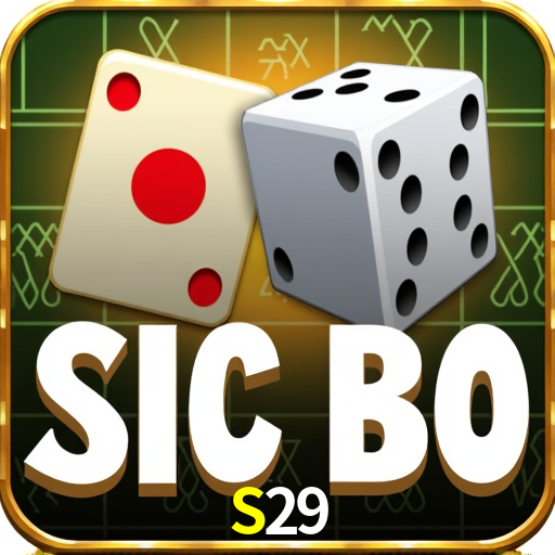 S29